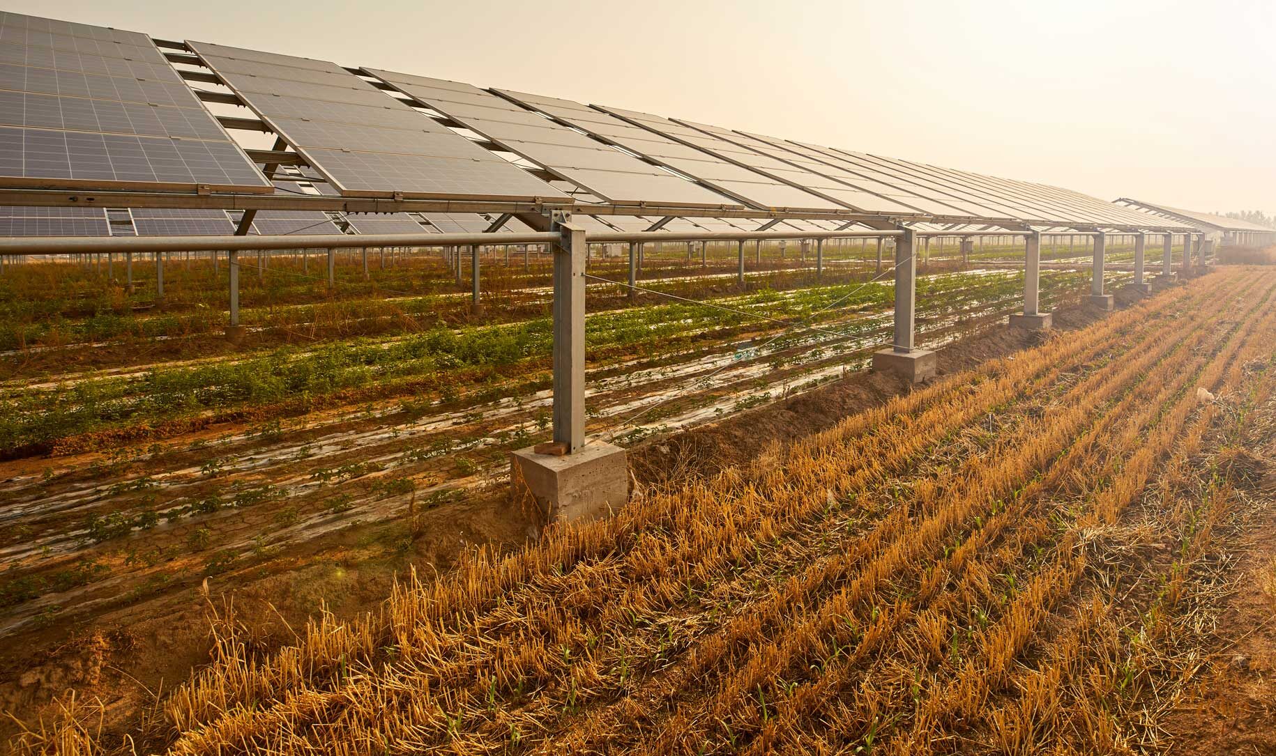 Solarne elektrane u poljoprivredi mogu biti postavljene na krovovima objekata